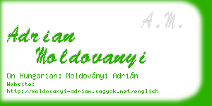 adrian moldovanyi business card