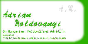 adrian moldovanyi business card